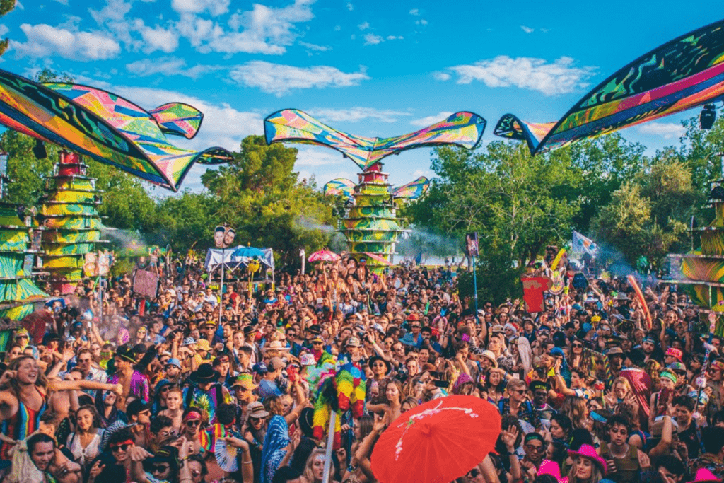 A crowd of people standing in the grass.