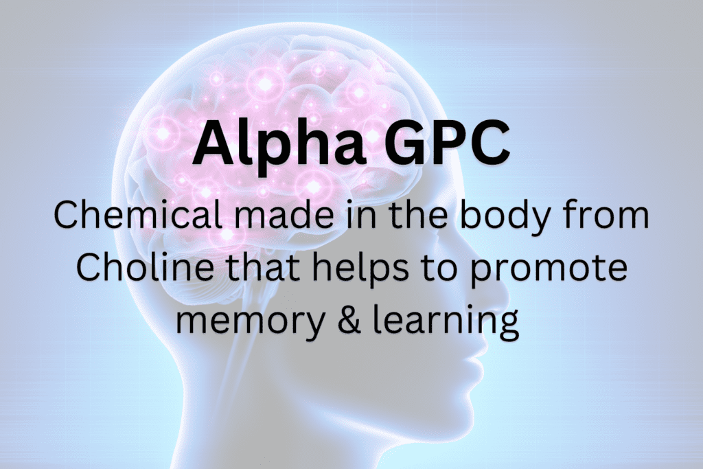 A picture of the human head with text that reads " alpha gpc chemical made in the body from gasoline that helps to promote memory & learning